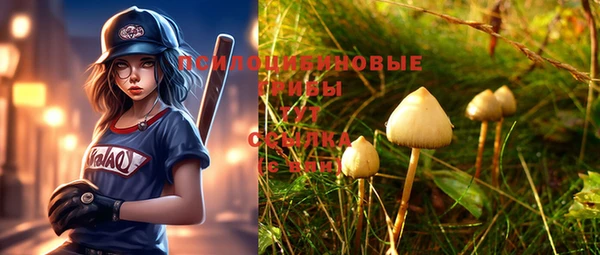 прущая мука Магадан
