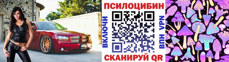 Галлюциногенные грибы мицелий  купить наркоту  Туран 